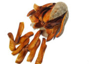 Buah Mahoni dan Potensinya bagi Kesehatan Vitalitas Pria