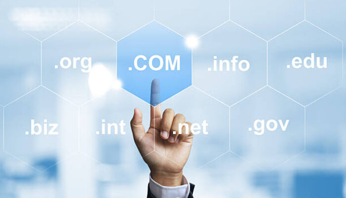 Cara Mudah Mencari Expired Domain Berkualitas