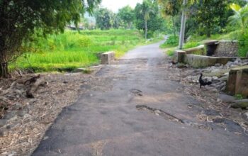 Dugaan Kondisi Proyek Yg Mulai rusak Ada Beberapa Titik Kondisi Aspal