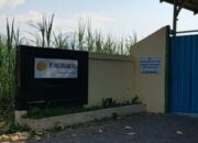 Bau Menyengat Kandang Ayam Petelur Ganggu Kenyamanan Warga dan petani kedungdowo.