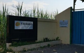 Bau Menyengat Kandang Ayam Petelur Ganggu Kenyamanan Warga dan petani kedungdowo.