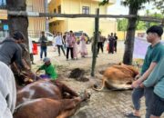 Polres Situbondo Maknai Idul Adha dengan Berbagi 1.300 Paket Kurban untuk Masyarakat