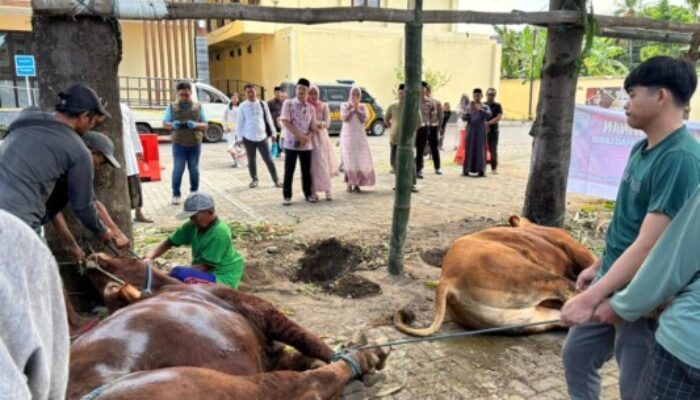 Polres Situbondo Maknai Idul Adha dengan Berbagi 1.300 Paket Kurban untuk Masyarakat